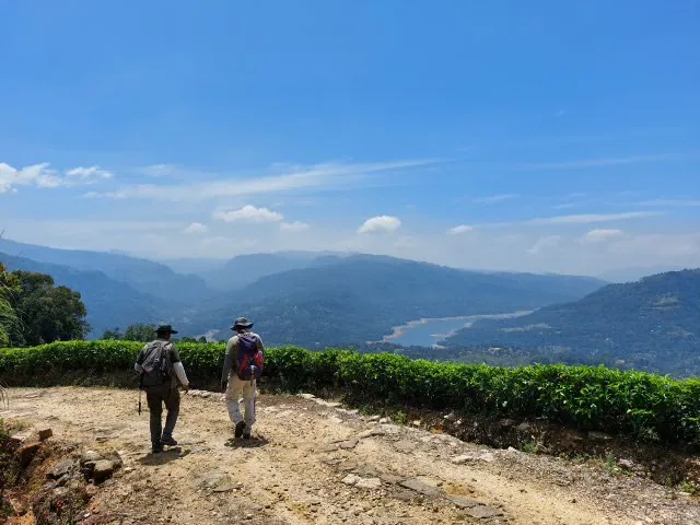Two trekkers walking a stony track beside a tea hedge above a reservoir valley